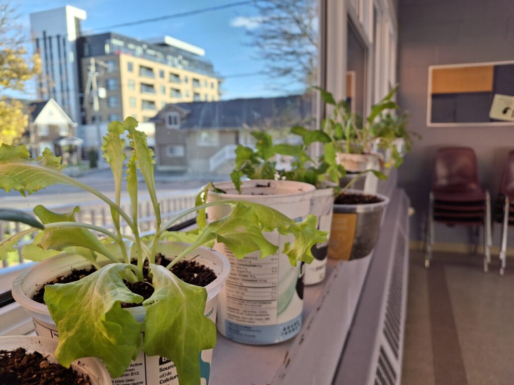 1000036940 1 1024x768